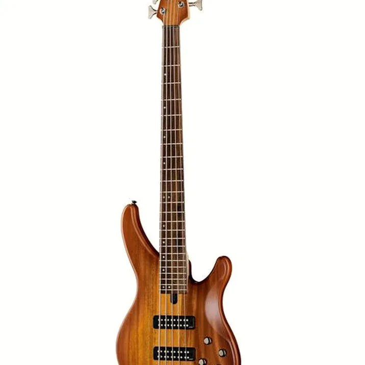 Yamaha TRBX 505 BRB